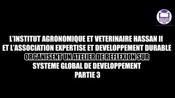 ATELIER DE RÉFLEXION SUR LE SYSTÈME GLOBAL DE DÉVELOPPEMENT -PARTIE 3