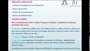 Licence dexcellence – Etudes françaises et éducation