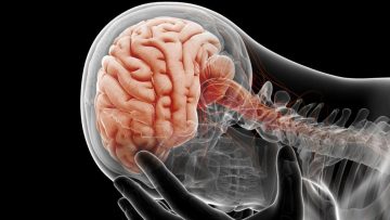 Documentaire 2021, Les Mystères du Cerveau Humain – Documentaire Science – Reportage ARTE