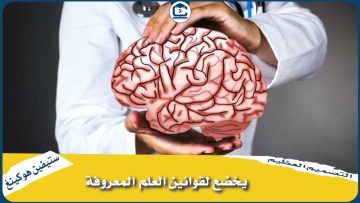 الحلقة الثامنة من سلسلة جاء في كتاب التصميم العظيم لستيفن هوكينج