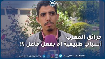 في نظرك هاته الحرائق المتزامنة بالمغرب صدفة أم قد تكون بفعل فاعل ؟