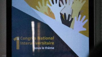 FB_IMG_1671837811807