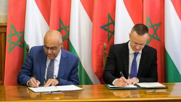 FB_IMG_1675185019543