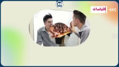 [ID: aM5Kv9S53qo] Youtube Automatic