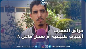 [ID: wknG8MXwBMc] Youtube Automatic