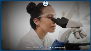 [ID: EMgl0hi3fgQ] Youtube Automatic