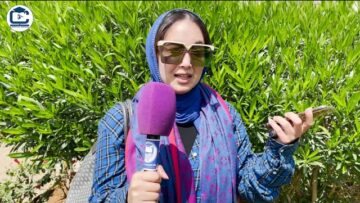 [ID: jHMSfTOrvxA] Youtube Automatic